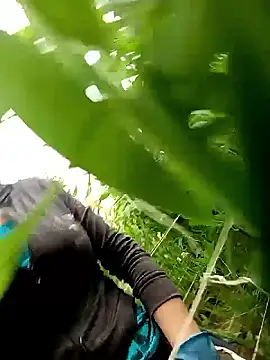 Abigail office online show from 13, 2, 2026