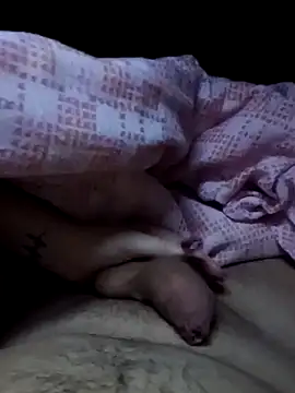 Porcellini2269 online show from 11, 2, 2026