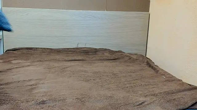 PinkyTwerkyX online show from 9, 9, 2025