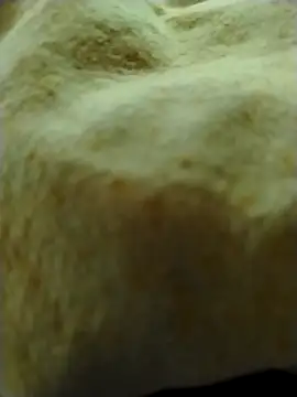 ManuelCLM online show from 10, 2, 2026