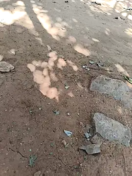 Kiran hote online show from 16, 2, 2026