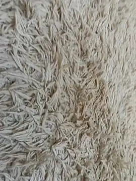 fogosapretona online show from 23, 4, 2026