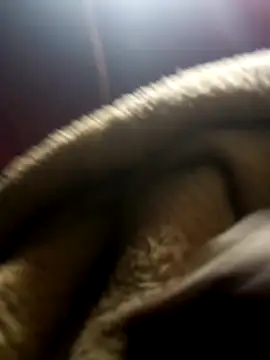 Snapshot of jodezww chatting on 1, 3, 2026 jodezww online show from 1, 3, 2026