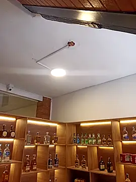 eva vidal  online show from 26, 3, 2026