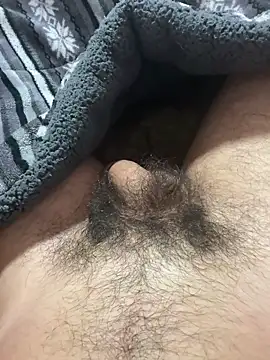 Hameddd25117 online show from 27, 4, 2026