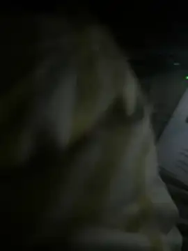 batbats online show from 11, 2, 2026