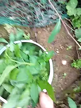 Girl-crazy1 online show from 9, 3, 2026