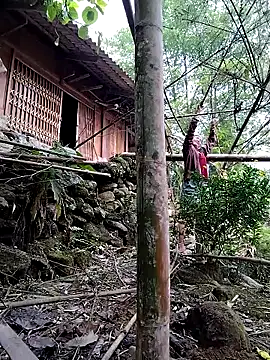 lovely-742 online show from 15, 4, 2026