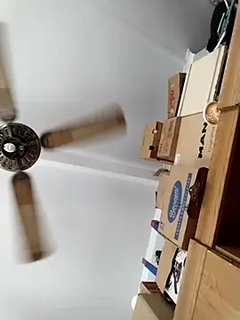 Baby P online show from 14, 4, 2026