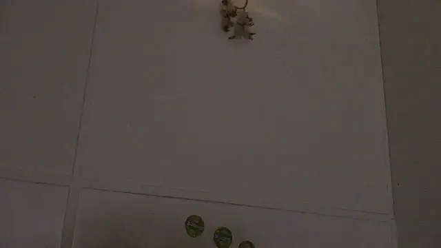 Snapshot of pbilip7787 chatting on 28, 2, 2026 pbilip7787 online show from 28, 2, 2026