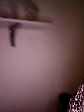 honey-suckle online show from 15, 2, 2026