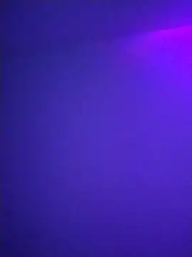 hamandcheece69 online show from 8, 3, 2026