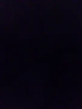 cobrosdepagos online show from 2, 4, 2026