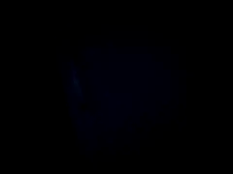 Snapshot of dustbunny64 chatting on 28, 3, 2026 dustbunny64 online show from 28, 3, 2026