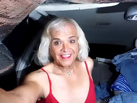 Snapshot of dustbunny64 chatting on 7, 4, 2026 dustbunny64 online show from 7, 4, 2026