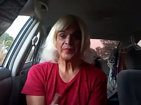 dustbunny64 online show from 21, 6, 2026