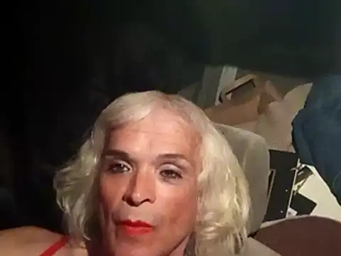 Snapshot of dustbunny64 chatting on 21, 3, 2026 dustbunny64 online show from 21, 3, 2026