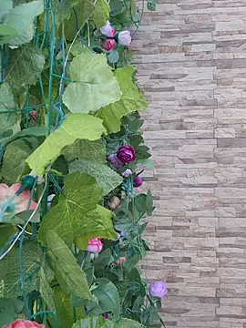 Roma xxx online show from 14, 2, 2026