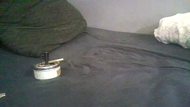 Snapshot of BonneQueueBonjour chatting on 22, 2, 2026 BonneQueueBonjour online show from 22, 2, 2026