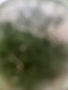 0BANANABANANA0 online show from 18, 4, 2026