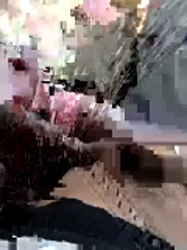 Your couple 01 online show from 25, 2, 2026