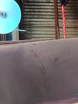 taniya0 online show from 14, 4, 2026