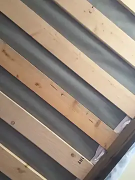 ShortcakeMochaa online show from 3, 3, 2026