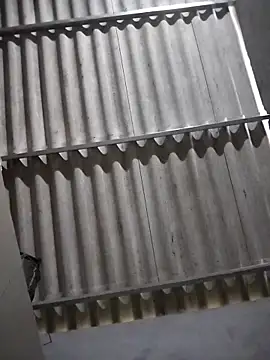 Baby flower 1 online show from 16, 2, 2026