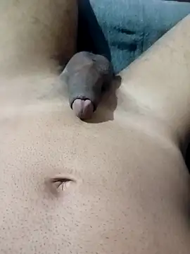 an0203 online show from 18, 4, 2026