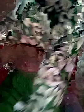 mimpake online show from 10, 4, 2026