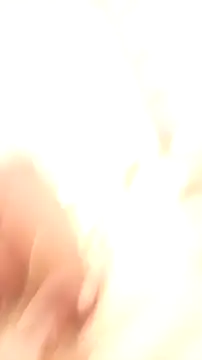 Scarbau online show from 3, 4, 2026