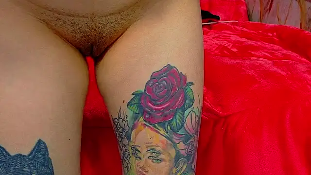 nova kitttyy online show from 5, 4, 2026