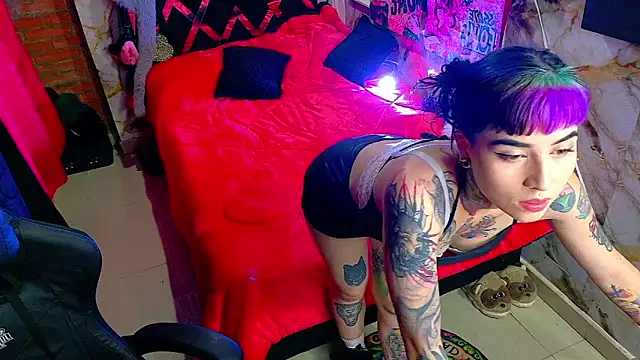 nova kitttyy online show from 2, 4, 2026