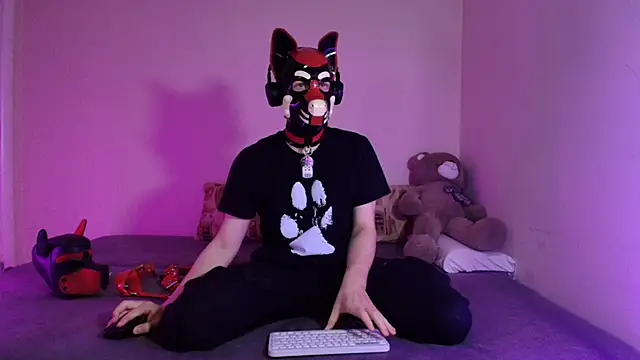 K9 GoodBoy online show from 27, 3, 2026