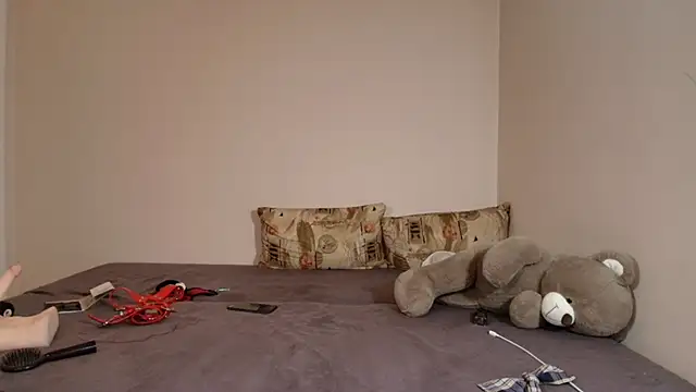 K9 GoodBoy online show from 5, 4, 2026