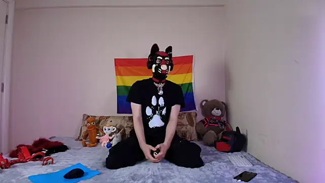 K9 GoodBoy online show from 15, 4, 2026