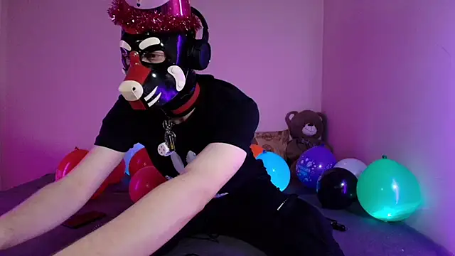 K9 GoodBoy online show from 26, 3, 2026