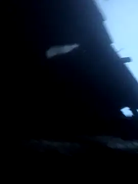 euchapo99 online show from 16, 2, 2026