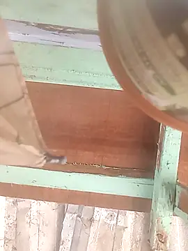 euchapo99 online show from 19, 2, 2026