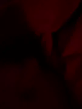 shark822 online show from 5, 5, 2026