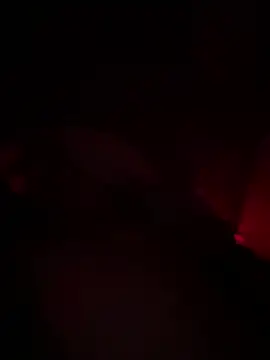 Snapshot of shark822 chatting on 2, 3, 2026 shark822 online show from 2, 3, 2026