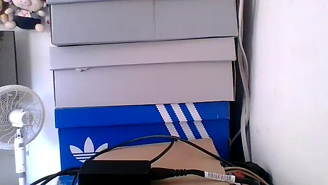 pocahontas hotty online show from 14, 4, 2026