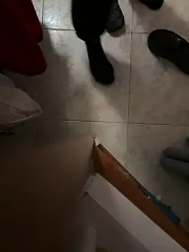 D4n13l47 online show from 5, 4, 2026