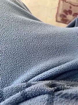 D4n13l47 online show from 8, 4, 2026