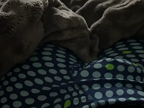 kakarot241515 online show from 6, 3, 2026