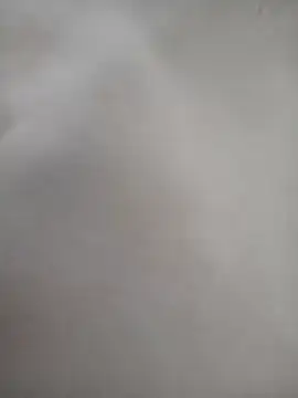 thom7246 online show from 31, 3, 2026