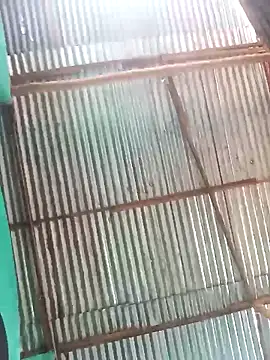 laurens world online show from 18, 4, 2026