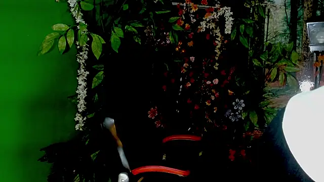 Darkiin FTM online show from 28, 2, 2026