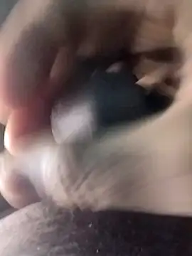 taherDzzf online show from 18, 3, 2026