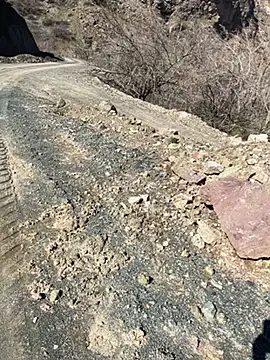 TurkeyMen online show from 2, 3, 2026